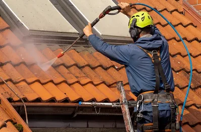 Démoussage et hydrofuge de toiture à Chamaloc